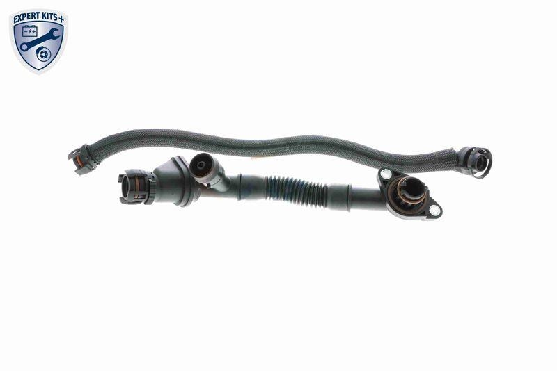 VAICO V20-3291 Reparatursatz, Kurbelgehäuseentlüftung Kurbelgehäuseentlüftung für BMW