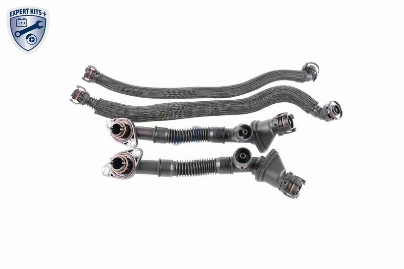 VAICO V20-3292 Reparatursatz, Kurbelgehäuseentlüftung für BMW