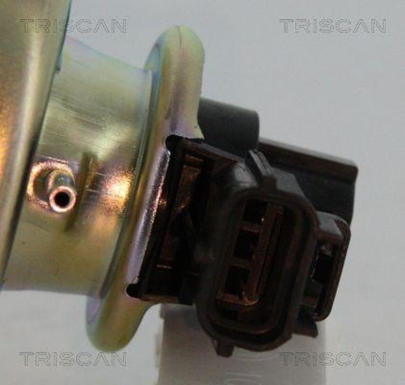TRISCAN 8813 16102 Agr Ventil f&uuml;r Ford