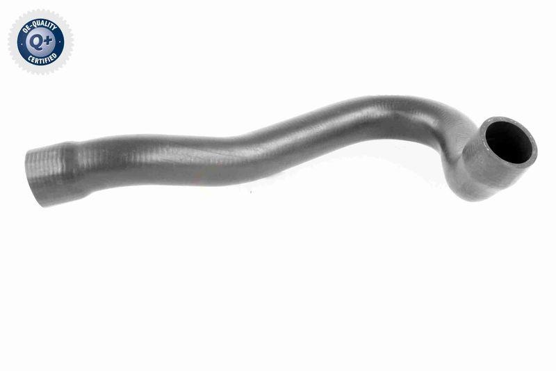 VAICO V30-0722 K&uuml;hlerschlauch K&uuml;hler, Anschlu&szlig; unten f&uuml;r MERCEDES-BENZ