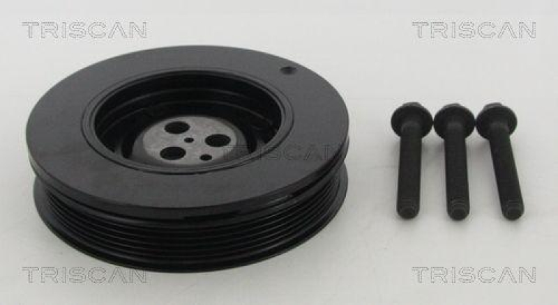 TRISCAN 8643 16005a Riemenscheibe für Ford