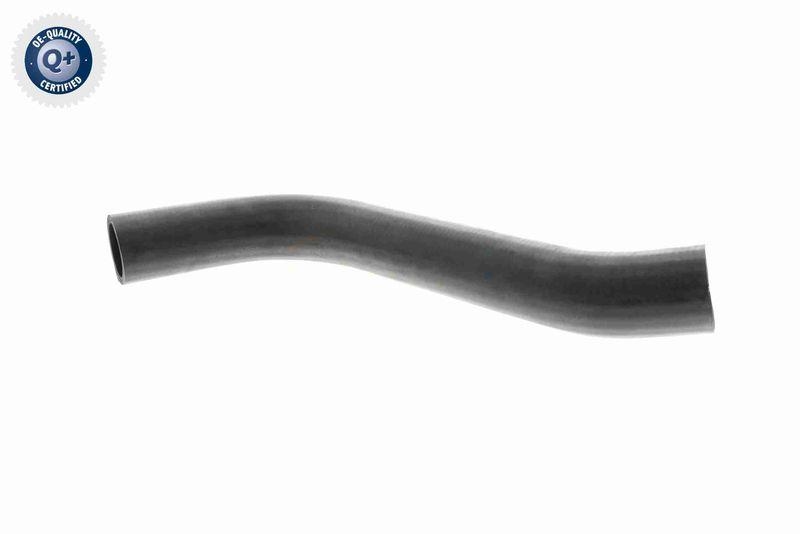 VAICO V30-0729 K&uuml;hlerschlauch K&uuml;hler, Anschlu&szlig; unten f&uuml;r MERCEDES-BENZ