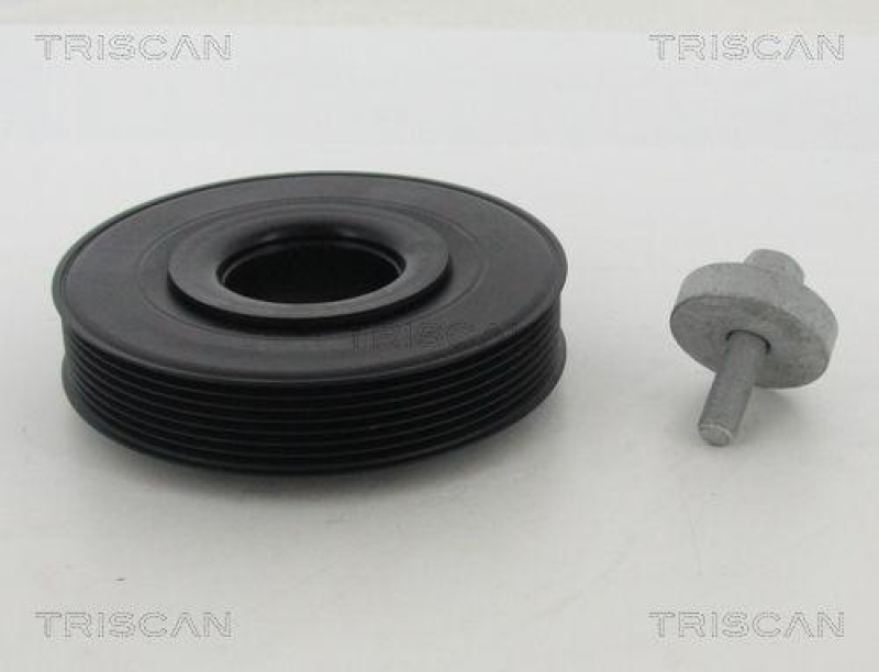 TRISCAN 8643 25003a Riemenscheibe für Renault