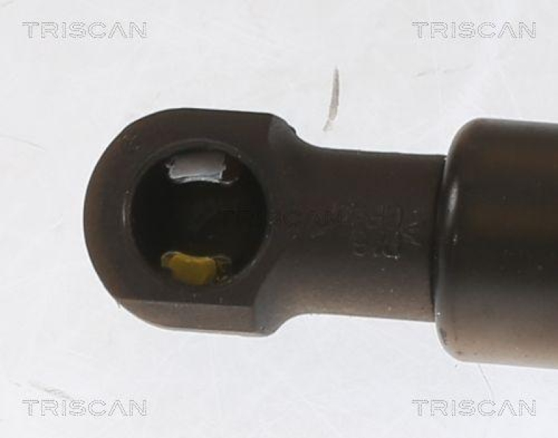 TRISCAN 8710 25233 Gasfeder Hinten f&uuml;r Renault Modus