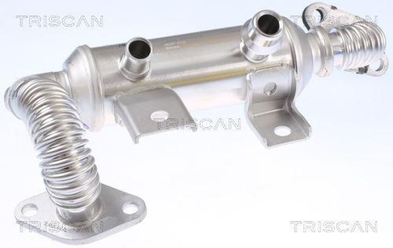 TRISCAN 8813 16111 K&uuml;hler, Abgasr&uuml;ckf&uuml;hrung f&uuml;r Ford