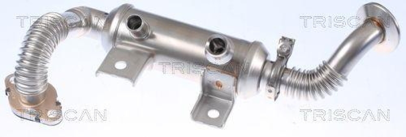 TRISCAN 8813 16113 K&uuml;hler, Abgasr&uuml;ckf&uuml;hrung f&uuml;r Ford Tourneo, Transit