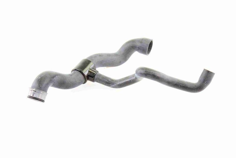 VAICO V30-1660 K&uuml;hlerschlauch K&uuml;hler, Anschlu&szlig; unten f&uuml;r MERCEDES-BENZ