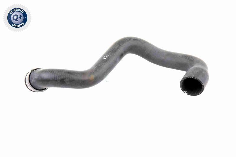 VAICO V30-1662 K&uuml;hlerschlauch K&uuml;hler, Anschlu&szlig; unten f&uuml;r MERCEDES-BENZ