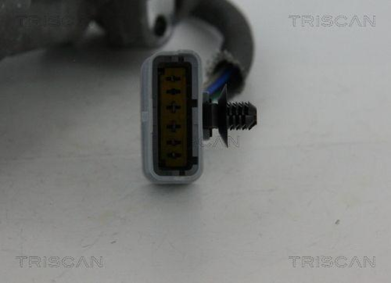 TRISCAN 8813 17019 Agr Ventil f&uuml;r Ford/Landrover