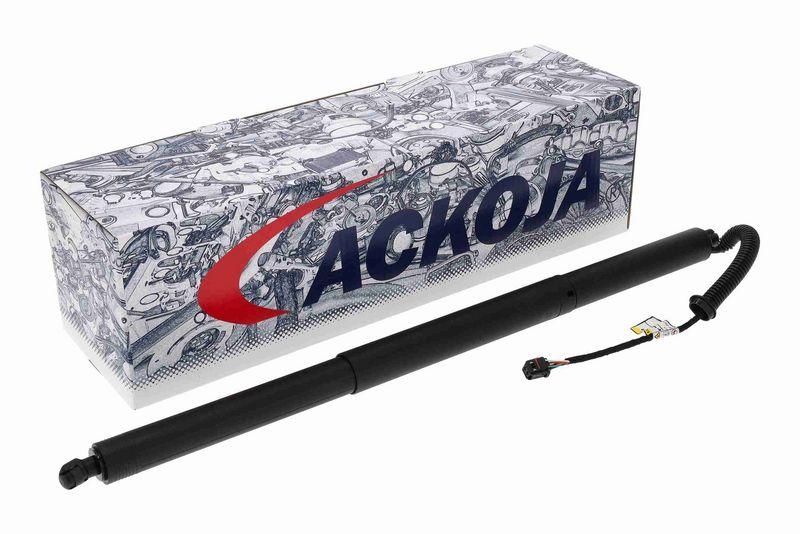 ACKOJA A52-55-0009 Elektromotor, Heckklappe für HYundAI