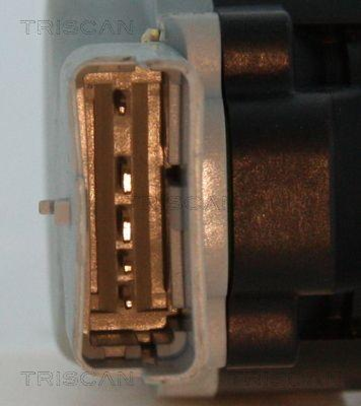 TRISCAN 8813 17020 Agr Ventil f&uuml;r Ford/Landrover