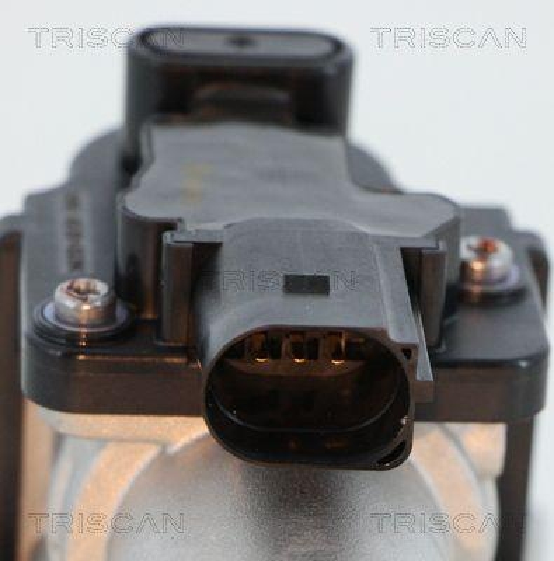 TRISCAN 8813 18045 Agr Ventil f&uuml;r Hyundai, Kia