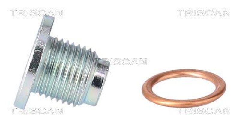 TRISCAN 9500 1019 &Ouml;lablassschraube f&uuml;r M16X1.5