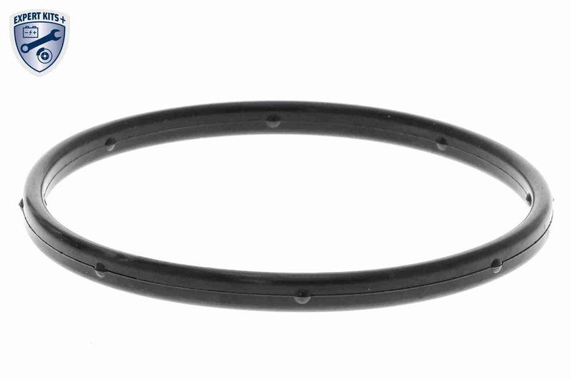 ACKOJA A53-50010 Wasserpumpe, Motorkühlung mit Dichtung für KIA