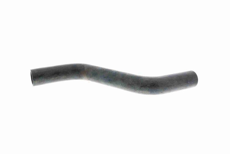 VAICO V10-0053 K&uuml;hlerschlauch K&uuml;hler, Anschlu&szlig; unten f&uuml;r VW