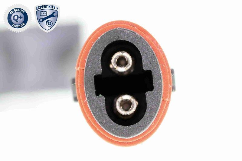 VAICO V30-1696 Bremsbelagsatz, Scheibenbremse Vorderachse inkl. Verschlei&szlig;anzeiger f&uuml;r MERCEDES-BENZ