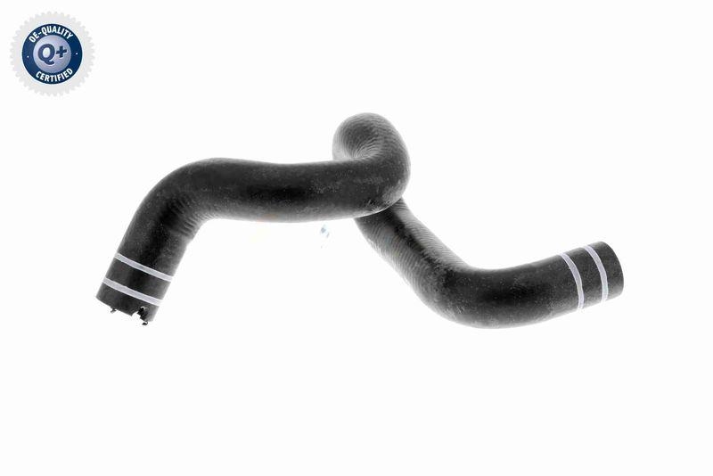 VAICO V24-0806 K&uuml;hlerschlauch f&uuml;r FIAT