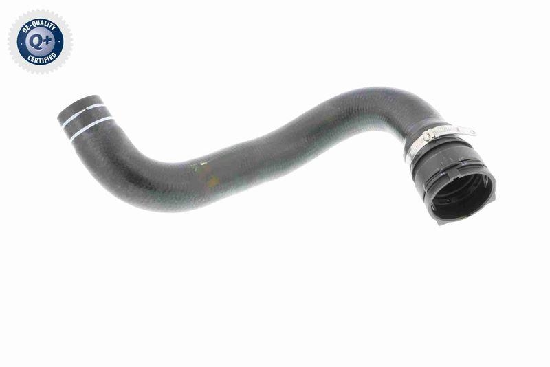 VAICO V24-0822 K&uuml;hlerschlauch f&uuml;r FIAT
