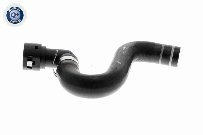 VAICO V24-0824 K&uuml;hlerschlauch f&uuml;r FIAT