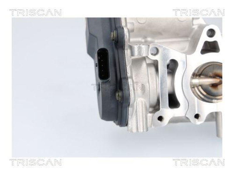 TRISCAN 8813 23041 Agr Ventil f&uuml;r Mercedes