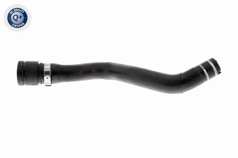 VAICO V24-0844 K&uuml;hlerschlauch f&uuml;r FIAT