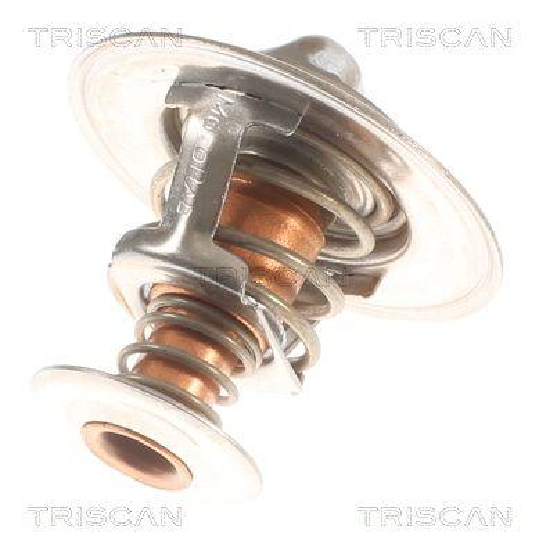 TRISCAN 8620 10691 Thermostat für Ford, Renault (1)