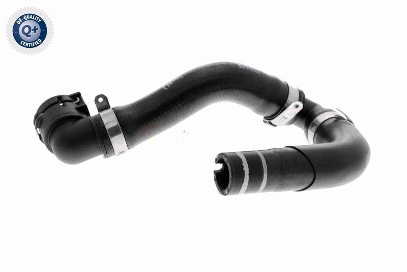 VAICO V24-0845 K&uuml;hlerschlauch f&uuml;r FIAT
