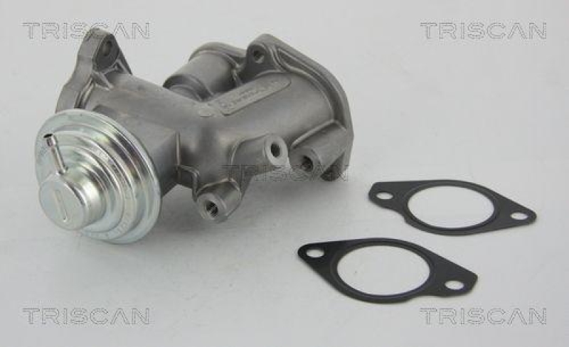 TRISCAN 8813 24031 Agr Ventil f&uuml;r Opel/Saab