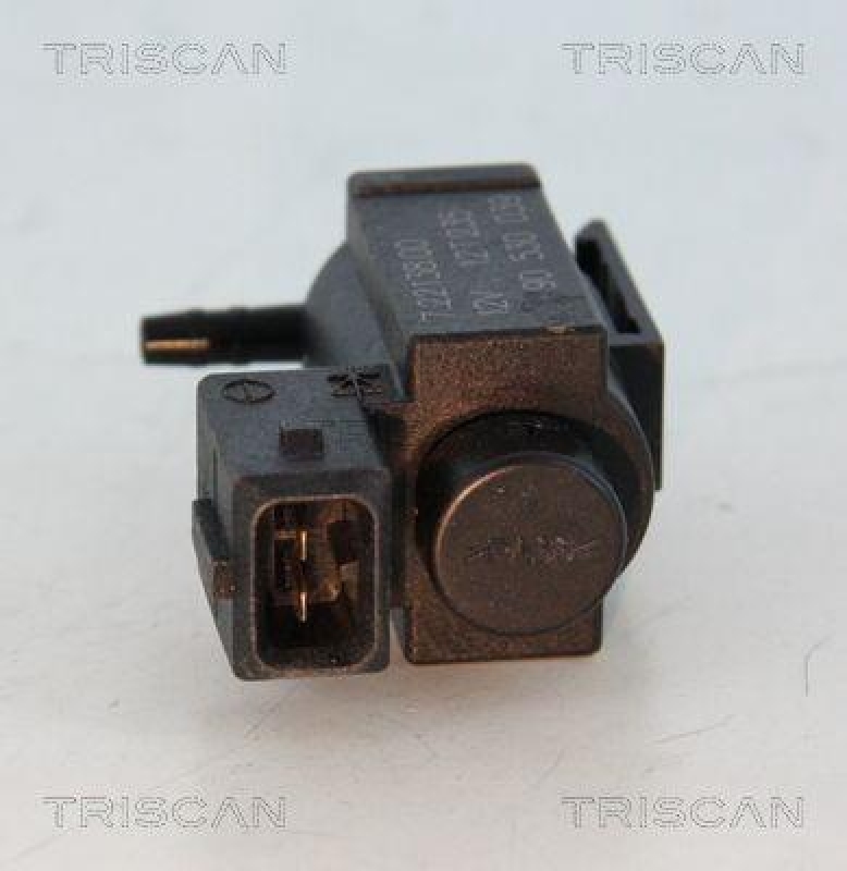 TRISCAN 8813 24034 Agr Ventil f&uuml;r Opel/Gm
