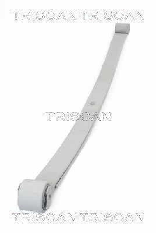 TRISCAN 8765 10006 Blattfeder Hinten f&uuml;r Citroen, Fiat, Peug.