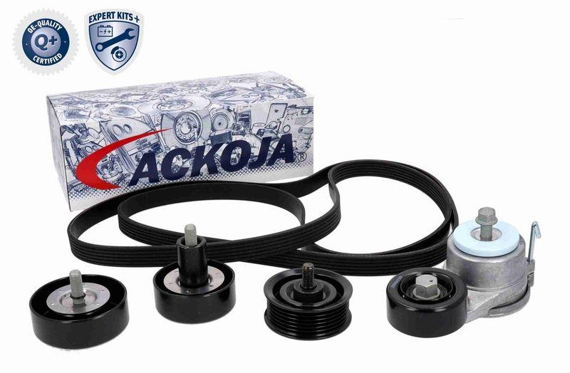 ACKOJA A52-0211 Keilrippenriemensatz mit Spann-und Umlenkrollen für HYUNDAI