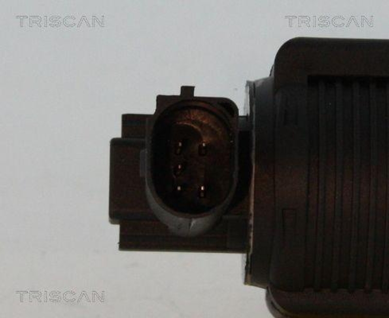 TRISCAN 8813 24055 Agr Ventil f&uuml;r Opel/Gm