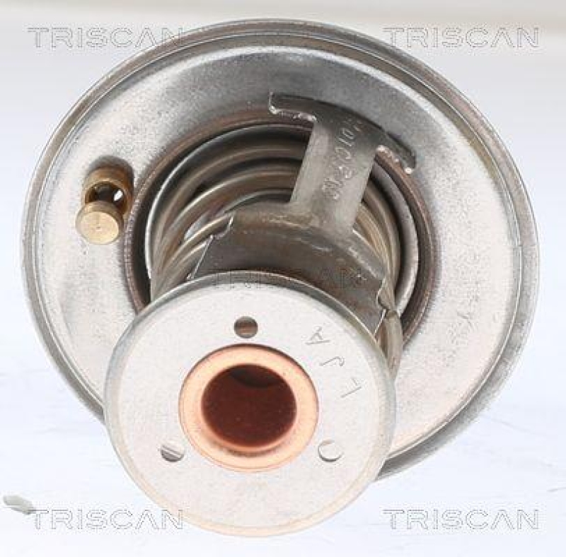 TRISCAN 8620 13289 Thermostat f&uuml;r Saab (1)