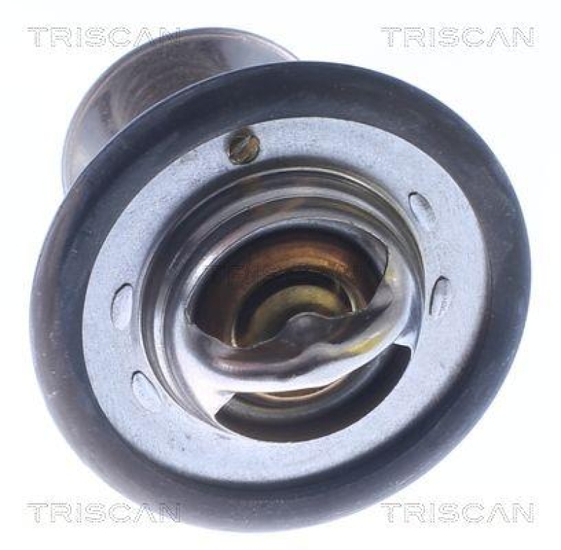 TRISCAN 8620 12582 Thermostat f&uuml;r Rover (0)