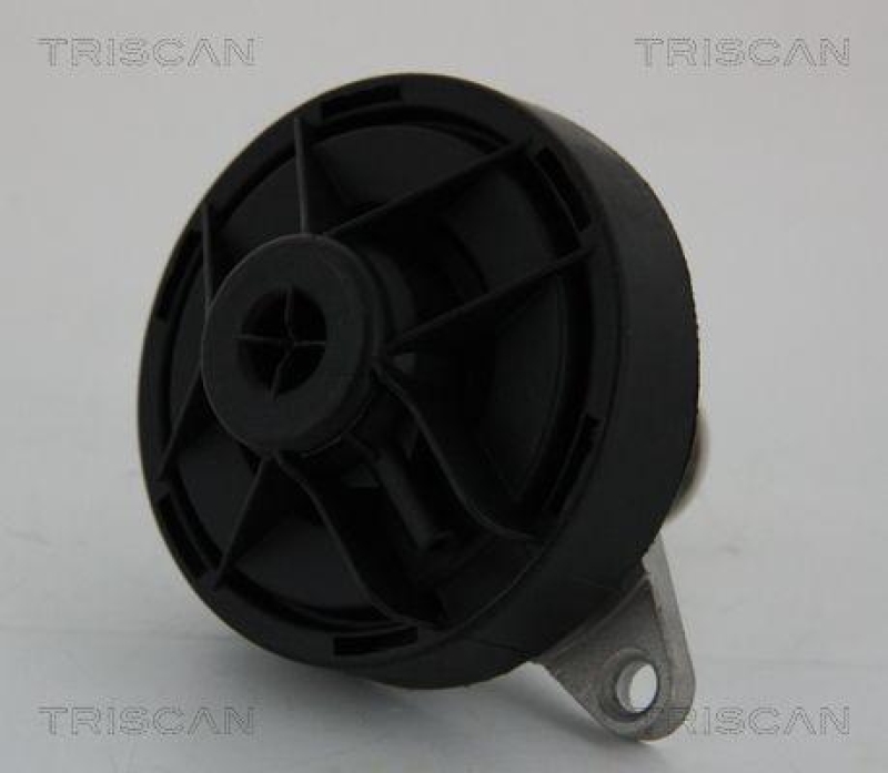 TRISCAN 8813 24202 Agr Ventil f&uuml;r Opel
