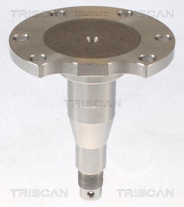 TRISCAN 8535 29010 Radnabe Hinten f&uuml;r Vag