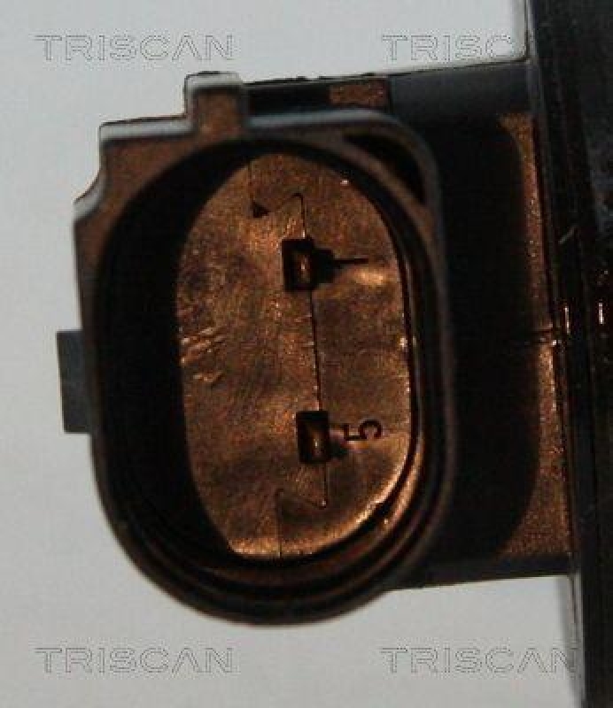 TRISCAN 8813 24204 Agr Ventil f&uuml;r Toyota