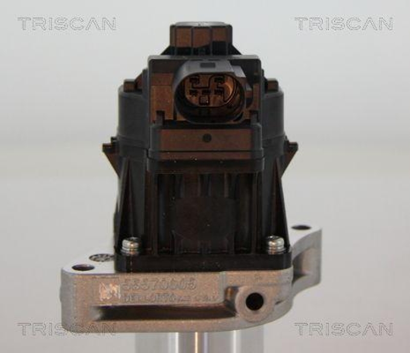 TRISCAN 8813 24205 Agr Ventil f&uuml;r Opel