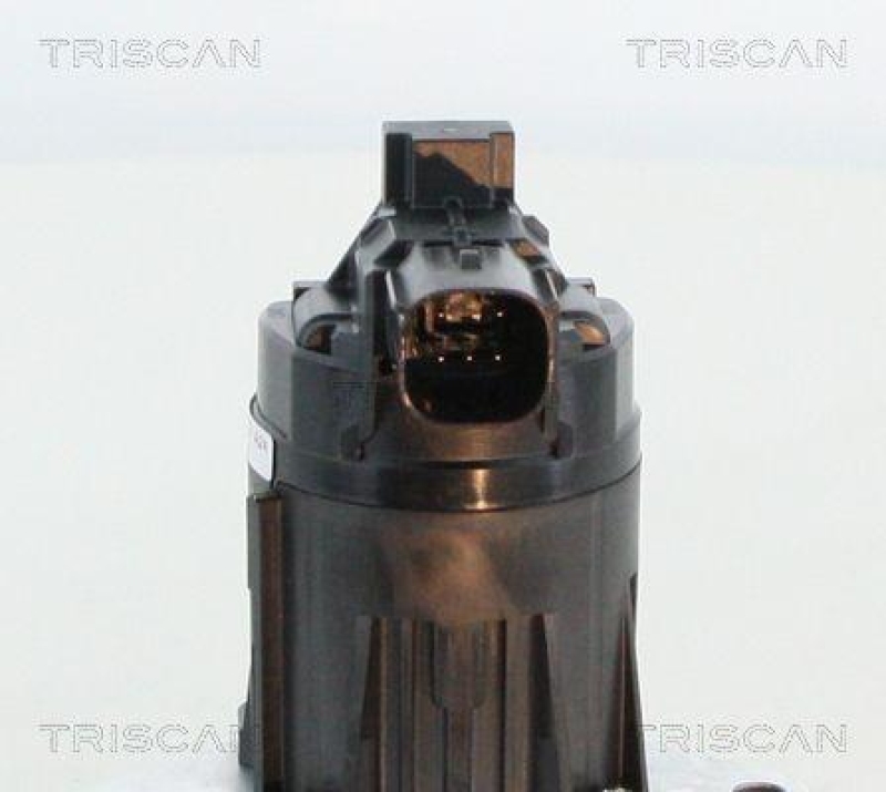 TRISCAN 8813 24209 Agr Ventil f&uuml;r Opel