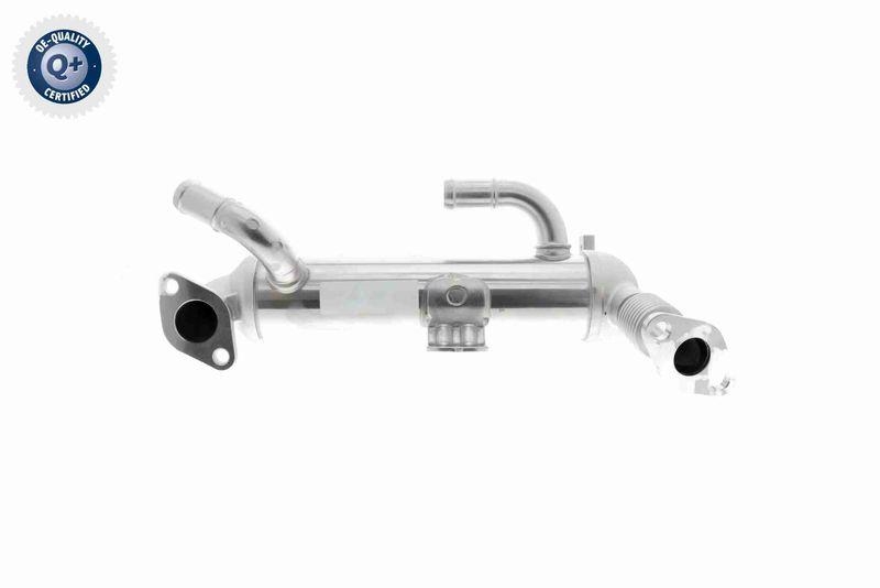 ACKOJA A52-63-0017 K&uuml;hler, Abgasr&uuml;ckf&uuml;hrung Wassergek&uuml;hlt f&uuml;r HYUNDAI