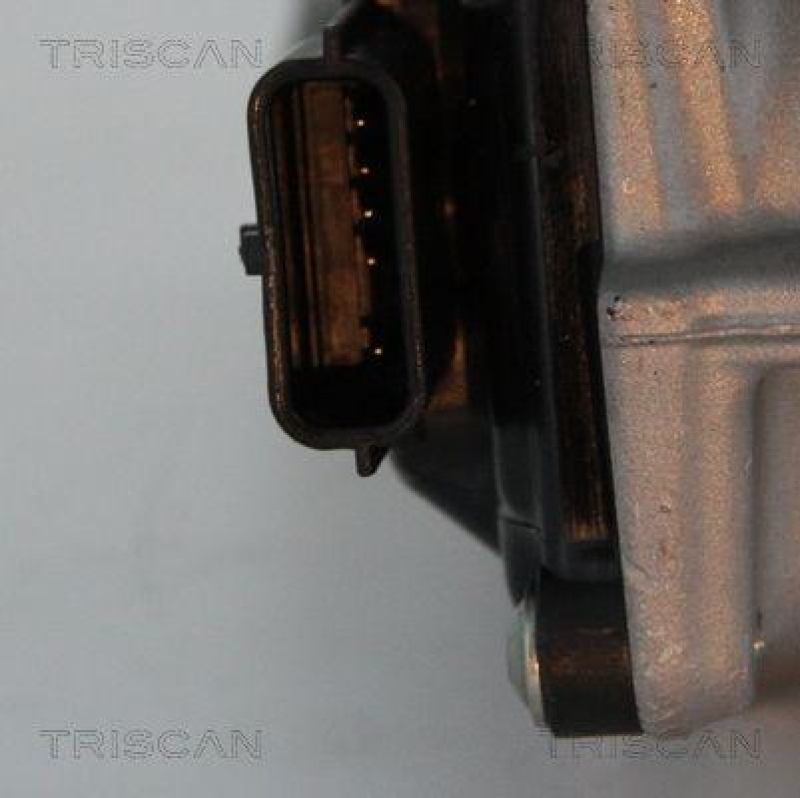 TRISCAN 8813 25013 Agr Ventil f&uuml;r Renault/Dacia