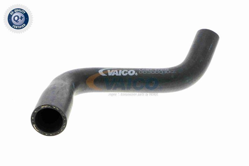 VAICO V30-1768 K&uuml;hlerschlauch f&uuml;r MERCEDES-BENZ