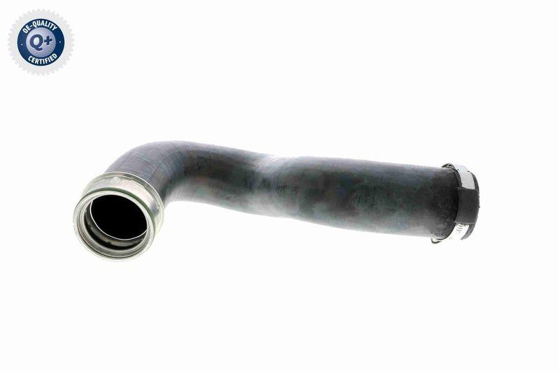 VAICO V30-1773 Ladeluftschlauch für MERCEDES-BENZ