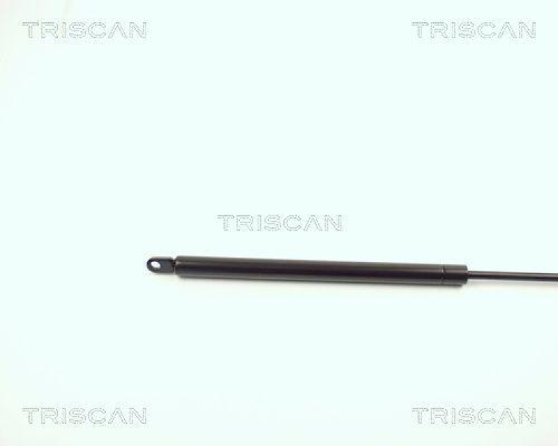 TRISCAN 8710 2903 Gasfeder Hinten für Vw Polo