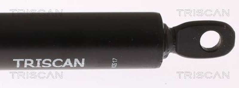 TRISCAN 8710 29101 Gasfeder Vorne für Audi 100, Avant / Quttro