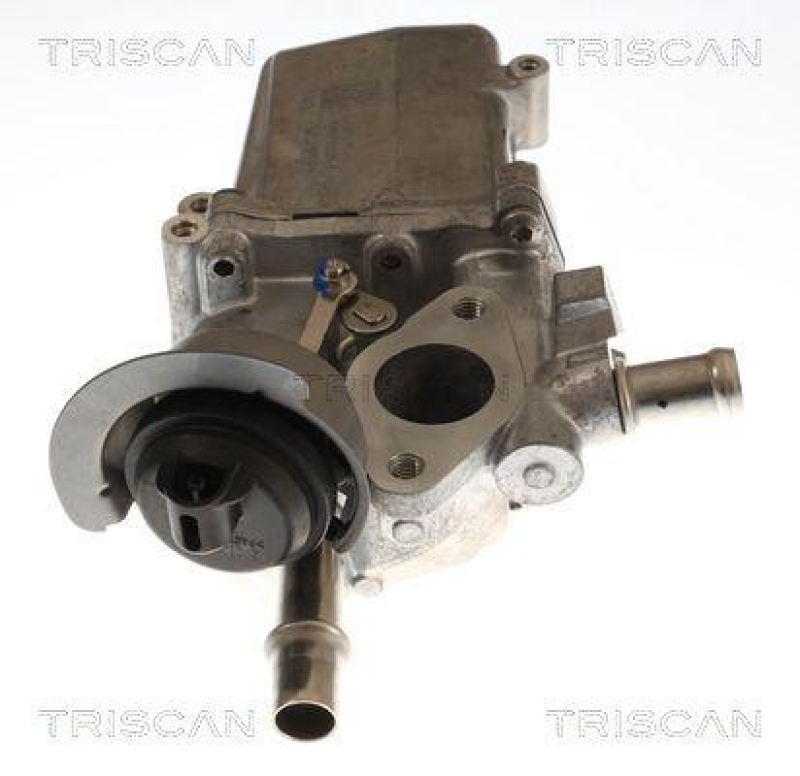 TRISCAN 8813 25048 Agr Ventil f&uuml;r Renault