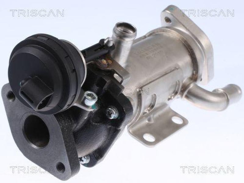 TRISCAN 8813 25101 K&uuml;hler, Abgasr&uuml;ckf&uuml;hrung f&uuml;r Renault