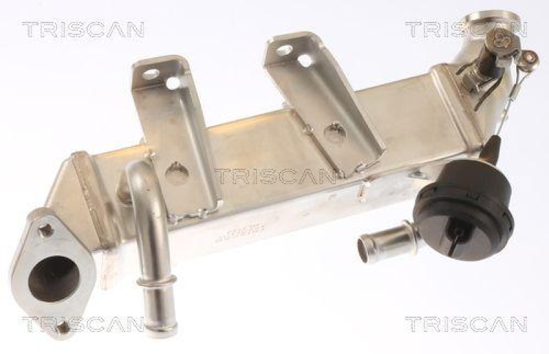 TRISCAN 8813 25103 K&uuml;hler, Abgasr&uuml;ckf&uuml;hrung f&uuml;r Renault