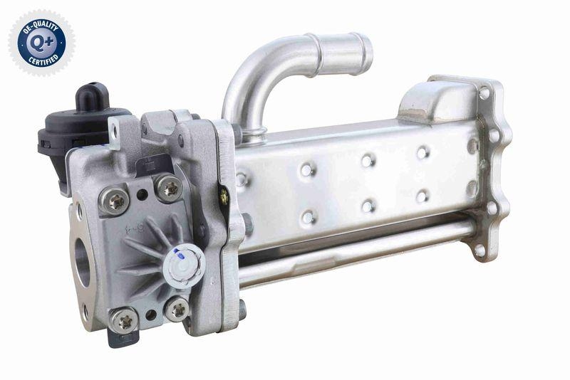 ACKOJA A52-63-0037 K&uuml;hler, Abgasr&uuml;ckf&uuml;hrung Oh. Dichtung f&uuml;r HYUNDAI