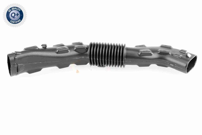 VAICO V46-1022 Ansaugschlauch, Luftfilter f&uuml;r RENAULT